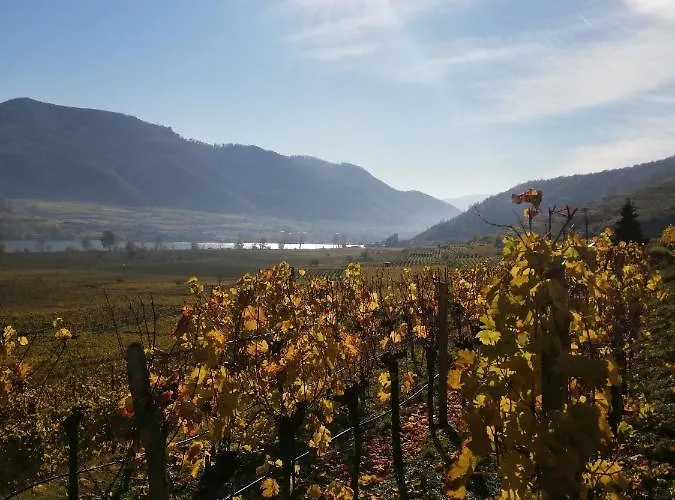 Guest house Langthaler